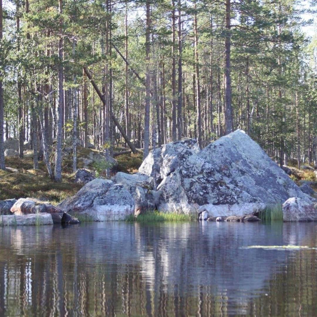 Hamra Stugby - Nature Adventures Hamra Esterno foto