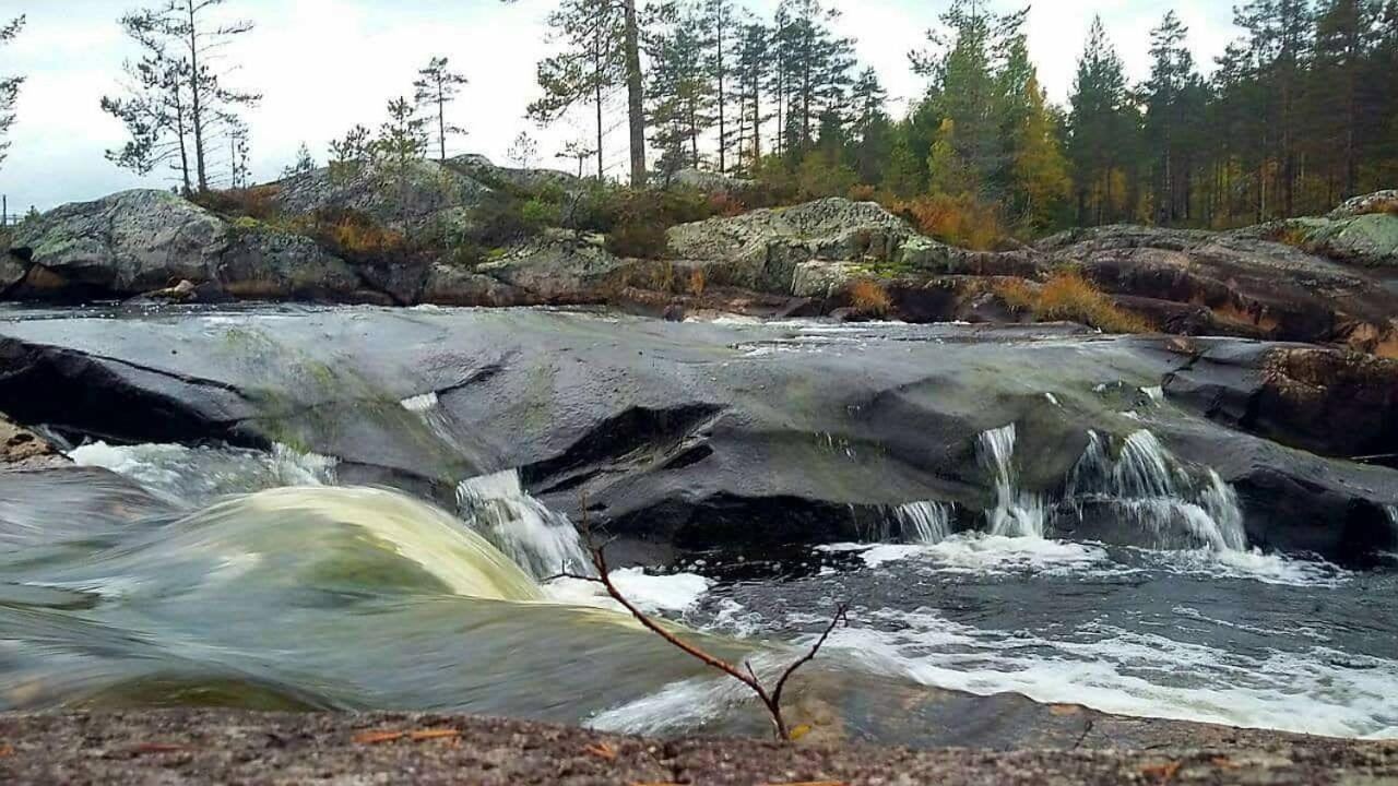 Hamra Stugby - Nature Adventures Hamra Esterno foto